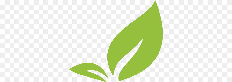 Hojas Verdes, Green, Herbal, Herbs, Leaf Free Png Download