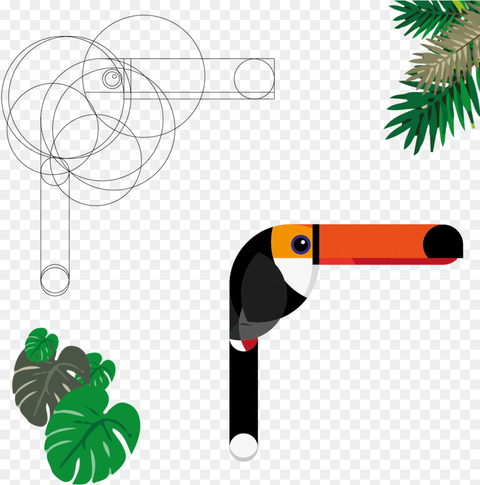 Bird Of Paradise Plant, Vegetation, Tree, Animal, Toucan Png