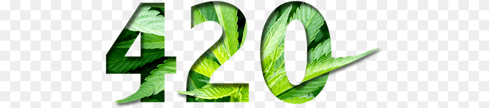 420, Green, Leaf, Plant, Text Free Png Download