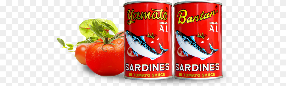 Sardines, Tin, Can, Aluminium, Canned Goods Free Png