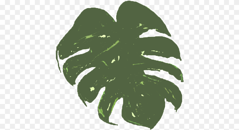 Palmeras Tropicales, Leaf, Plant, Person Free Png Download