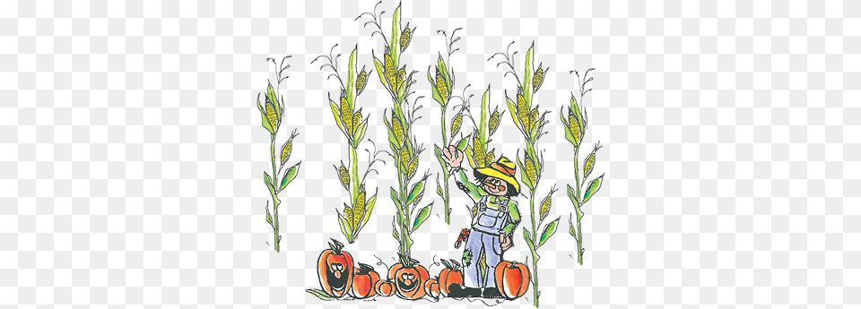 4224 Scarecrow, Book, Comics, Plant, Publication Png Image