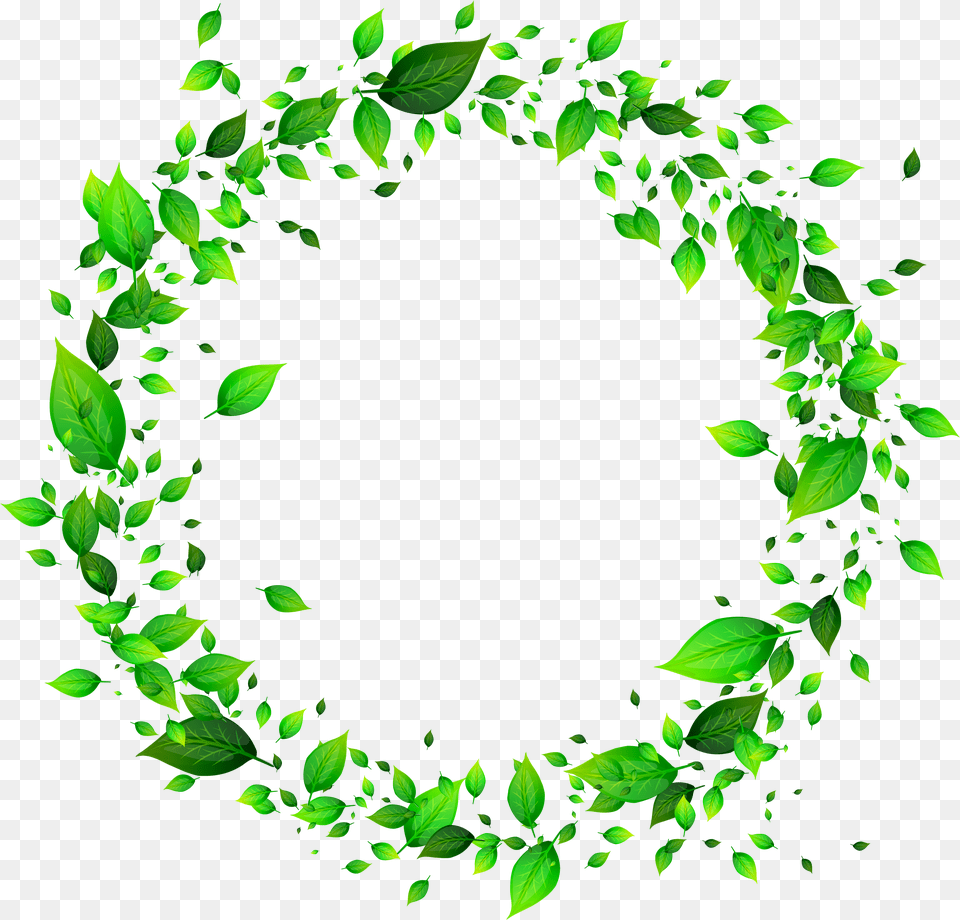 Green Wreath, Leaf, Plant Png Image