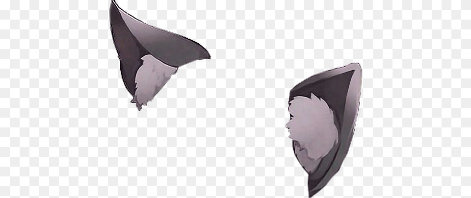 Anime Cat Ears, Animal Free Transparent Png