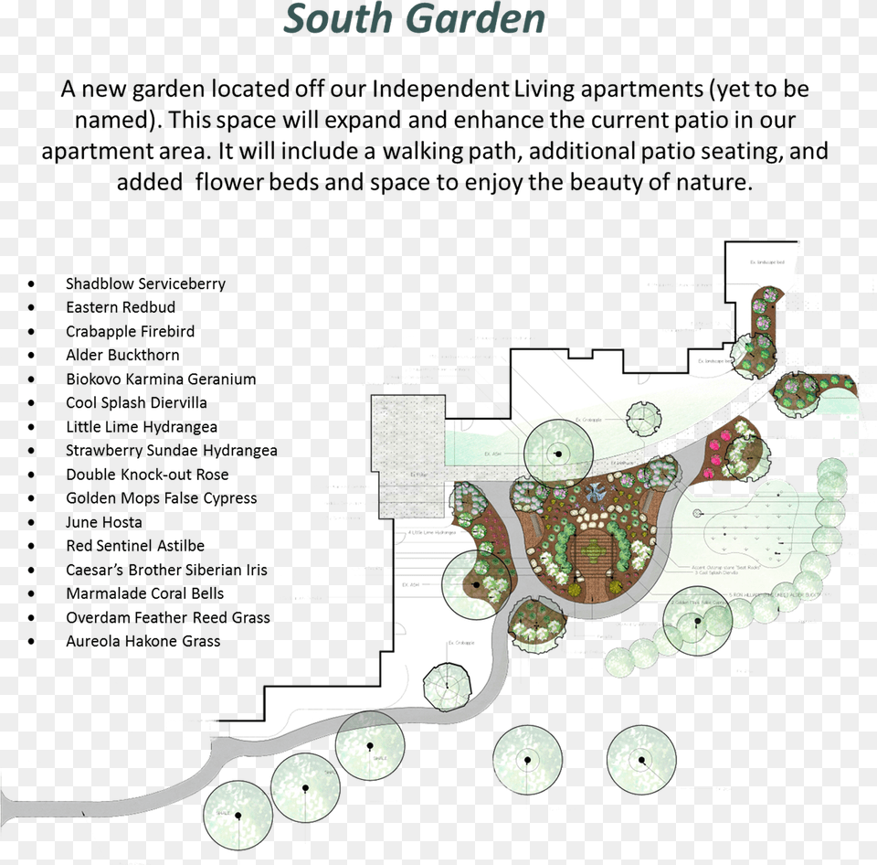 Hosta, Chart, Diagram, Plan, Plot Free Png Download