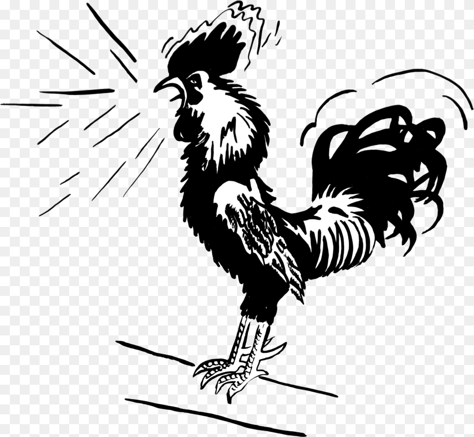 Chicken, Stencil, Animal, Bird, Fowl Png Image