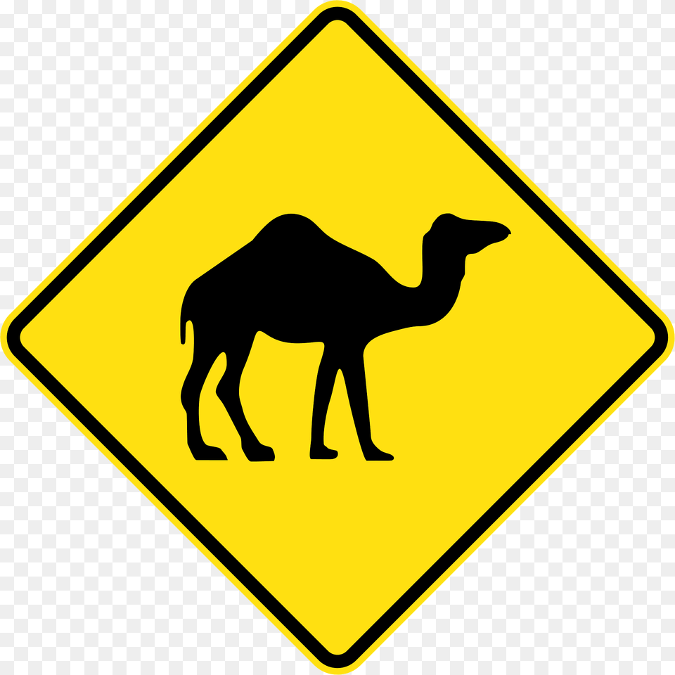 44 Camels Clipart, Sign, Symbol, Road Sign, Animal Free Transparent Png