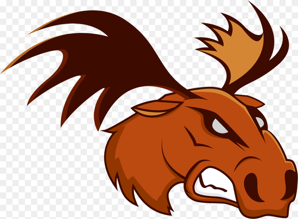 Moose, Animal, Fish, Sea Life, Shark Free Transparent Png