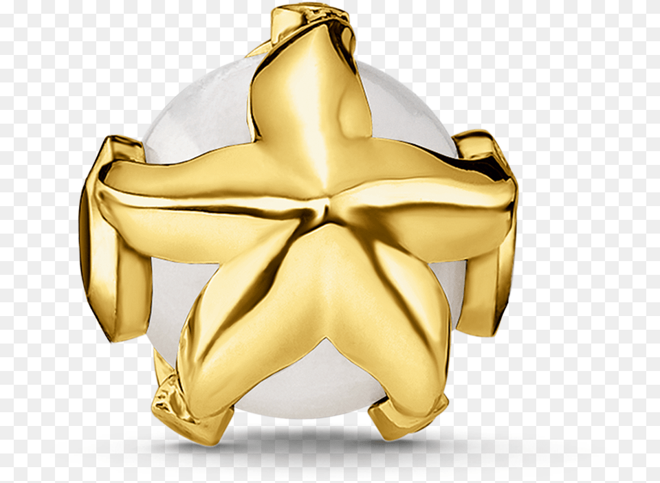 445 14 Bead Estrella De Mar 2data Large Image Thomas Sabo, Gold, Cross, Symbol, Accessories Png