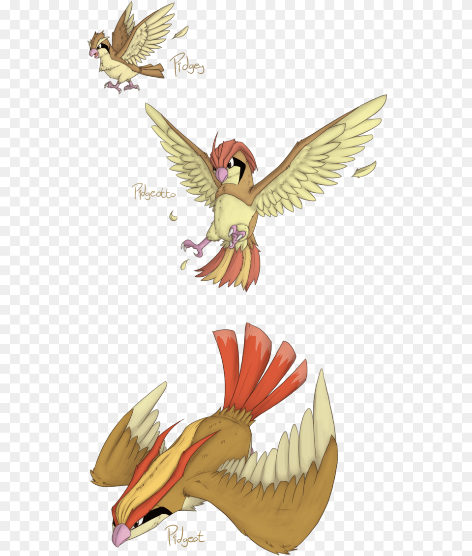 Pidgey, Animal, Bird Png