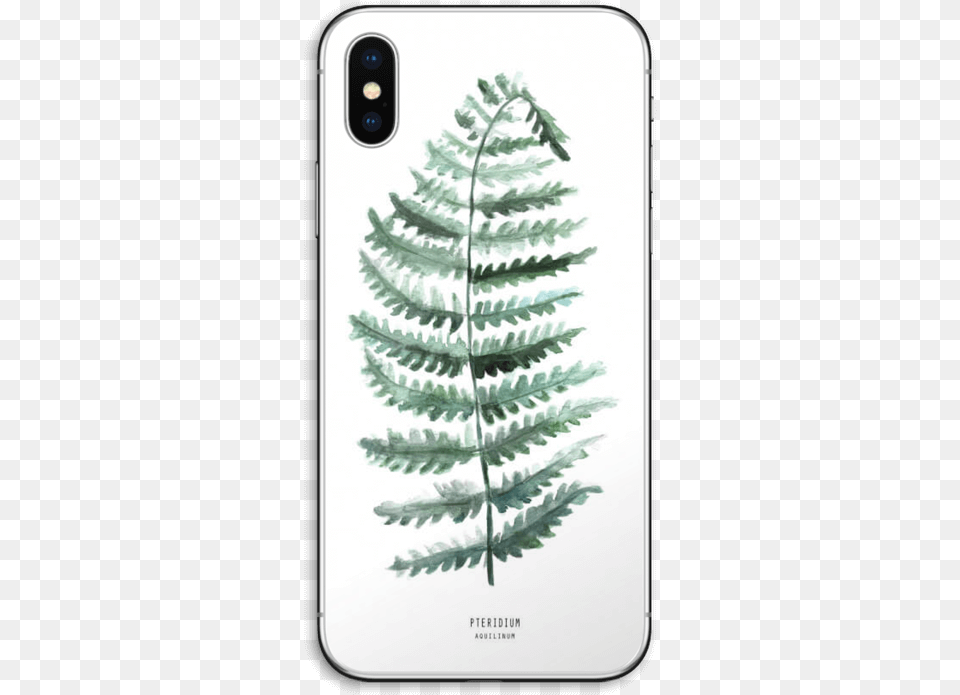 Ferns, Fern, Plant, Electronics, Mobile Phone Free Png Download