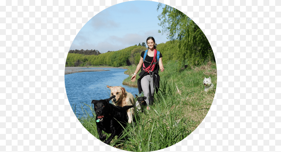 N Companion Dog, Photography, Adult, Person, Woman Free Png
