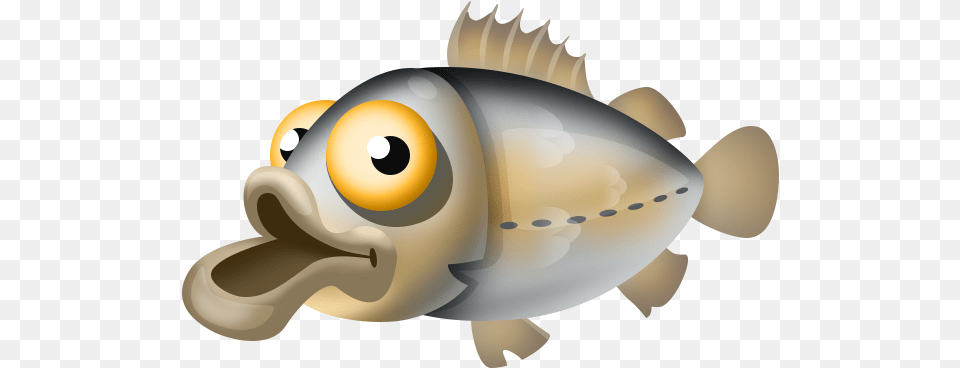 Fishes, Animal, Sea Life, Fish, Clothing Free Transparent Png