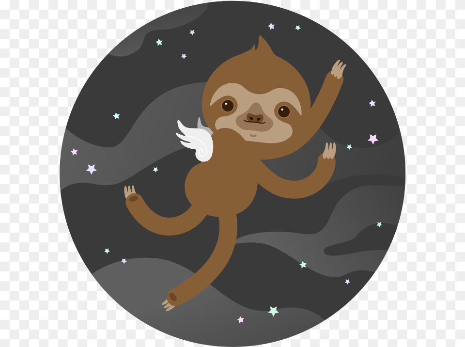 Sloth, Photography, Baby, Person, Face Free Png Download