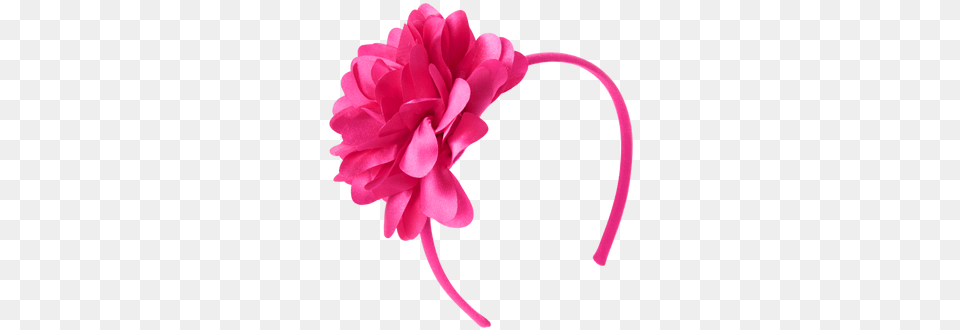 Headband, Accessories, Flower, Plant, Dahlia Png