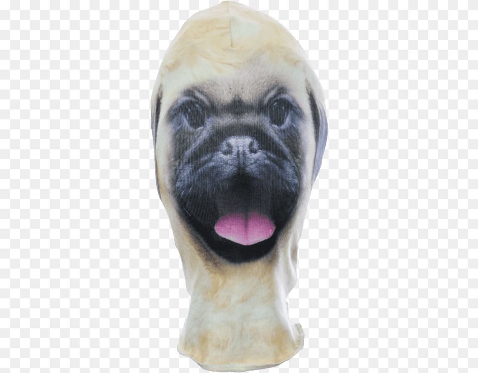 Mask, Animal, Canine, Mammal, Pet Free Transparent Png