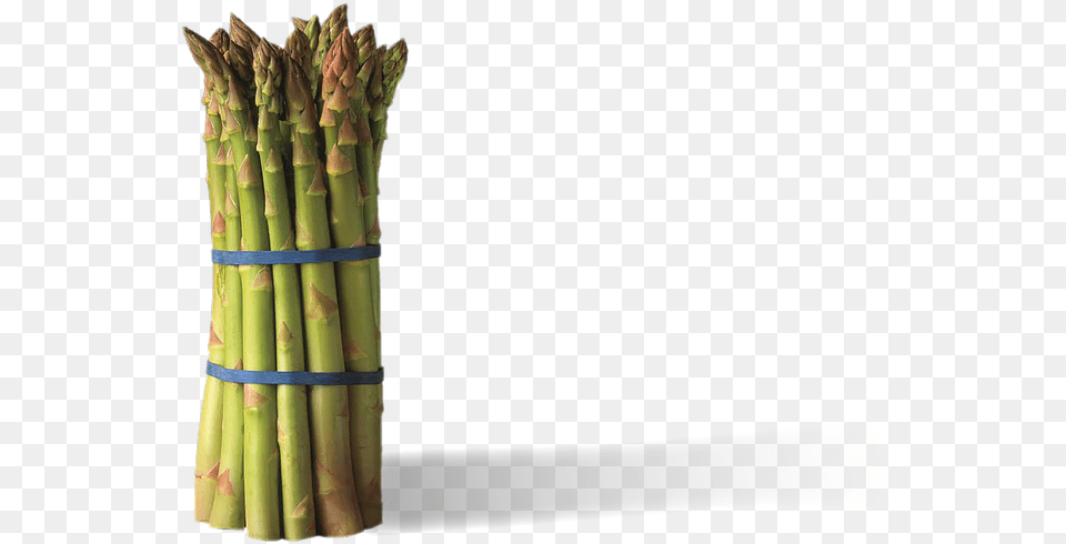 4th Draft Bamboo, Asparagus, Food, Plant, Produce Png Image