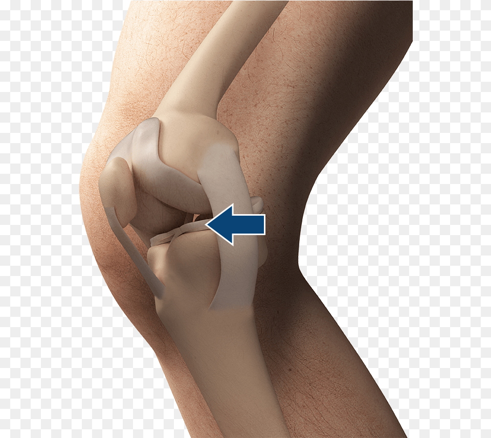 Joint, Wrist, Person, Knee, Hand Free Png Download