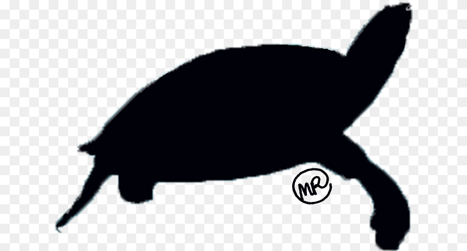 Tortoise, Animal, Reptile, Sea Life, Turtle Png Image