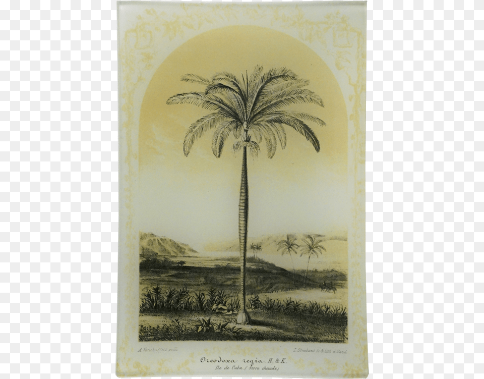 Cuba, Art, Painting, Palm Tree, Plant Free Transparent Png