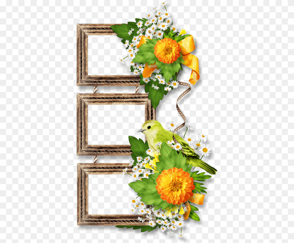 Text Borders, Flower Arrangement, Art, Plant, Floral Design Png