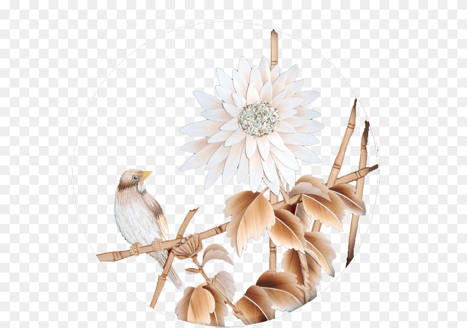 Gold Square, Dahlia, Flower, Plant, Animal Png