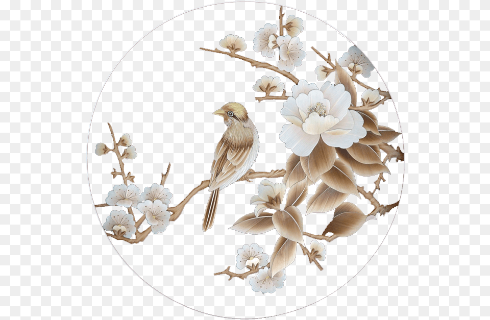 Gold Square, Animal, Bird, Finch, Flower Free Png