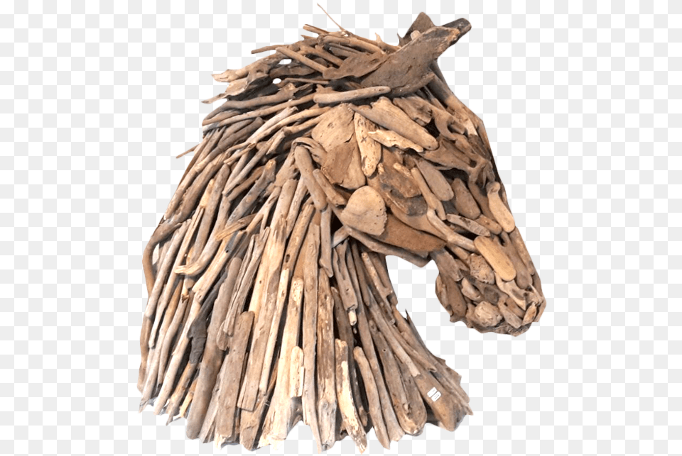 Driftwood, Wood, Plant Free Transparent Png