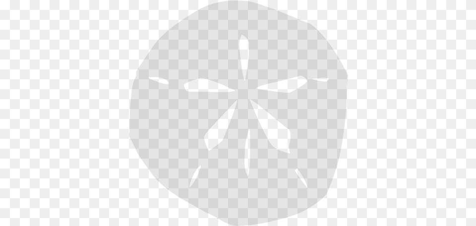 Sand Dollar, Gray Free Png