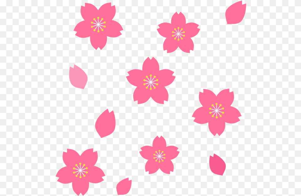 Good Sakura, Flower, Petal, Plant, Pattern Png