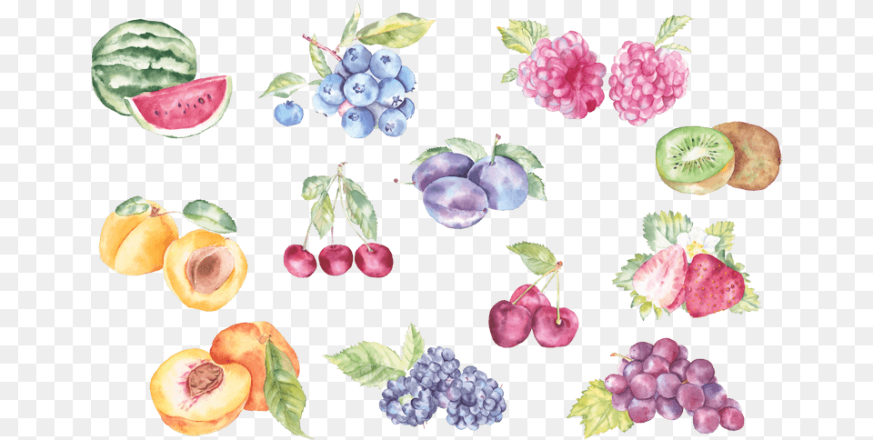5d Fruit In Watercolor, Food, Plant, Produce, Berry Png Image