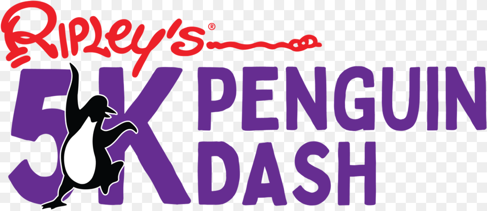 5k Penguin Dash 01 Poster, Person Png Image