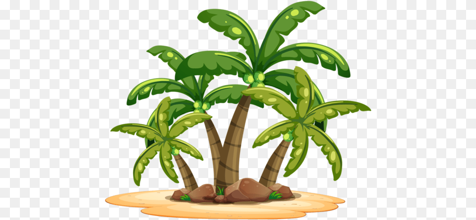 Cartoon Beach House Drawing, Palm Tree, Tree, Green, Plant Free Png Download
