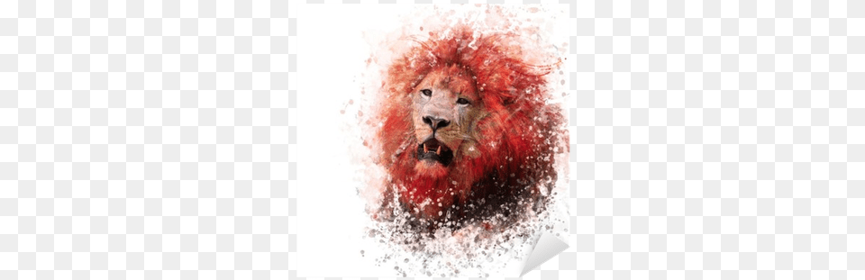 Lion Face, Animal, Mammal, Wildlife Free Transparent Png