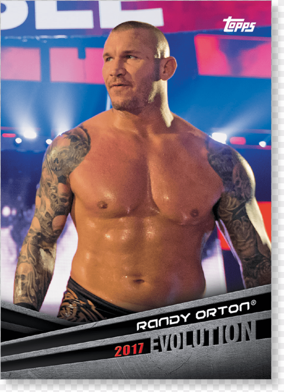 Randy Orton, Tattoo, Back, Body Part, Skin Png Image