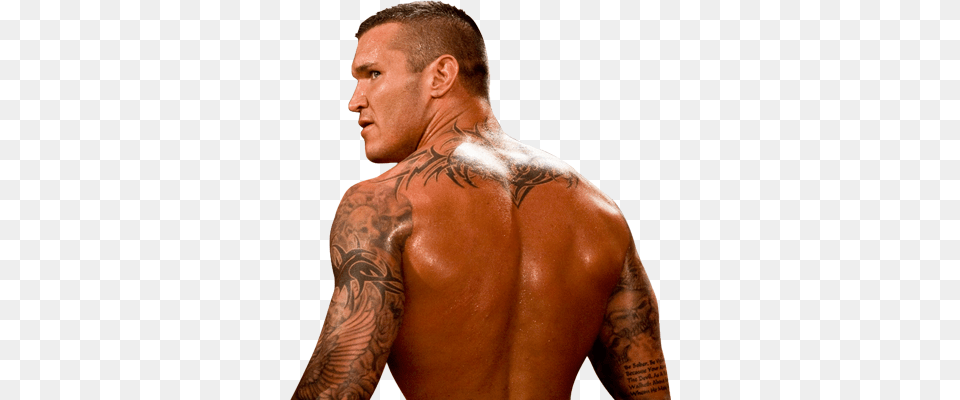 Randy Orton, Back, Body Part, Person, Skin Free Transparent Png