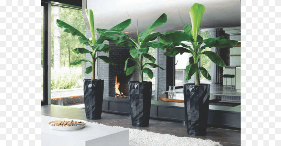 Planters, Fireplace, Indoors, Interior Design, Plant Png