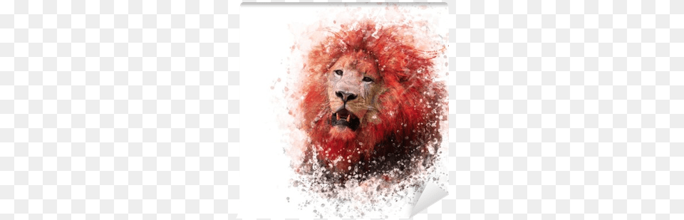 Lion Head, Animal, Mammal, Wildlife, Person Free Transparent Png