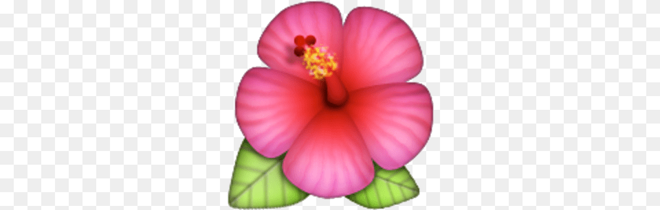 4681 Hawaiian Flower Emoji, Plant, Hibiscus, Petal, Anther Free Png Download