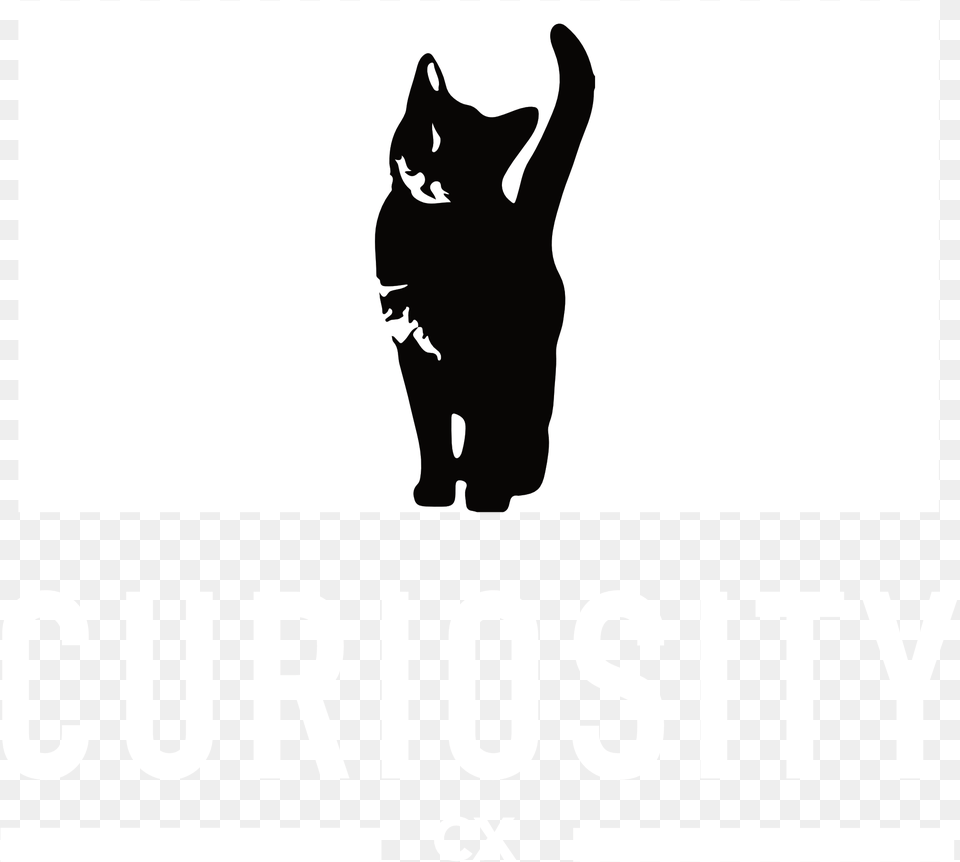 Curiosity, Silhouette, Stencil, Animal, Cat Png