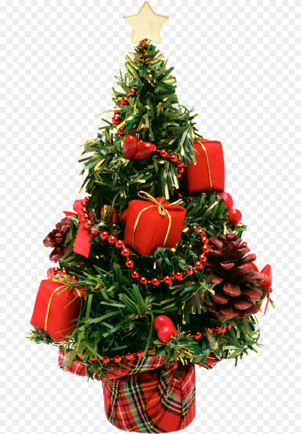 Xxl Nossa Empresa Deseja Feliz Natal, Plant, Christmas, Christmas Decorations, Festival Free Png