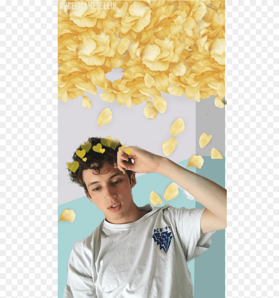 Troye Sivan, Petal, Person, Photography, Head Png