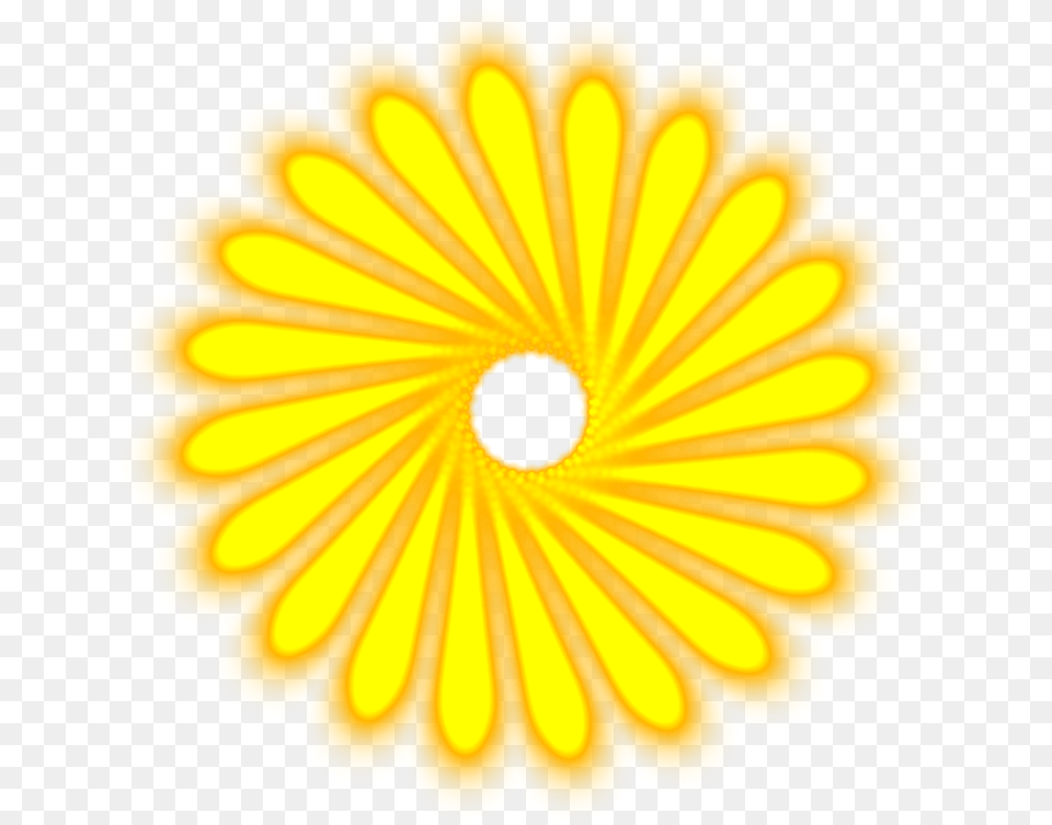 Light Streaks, Daisy, Flower, Petal, Plant Free Png Download