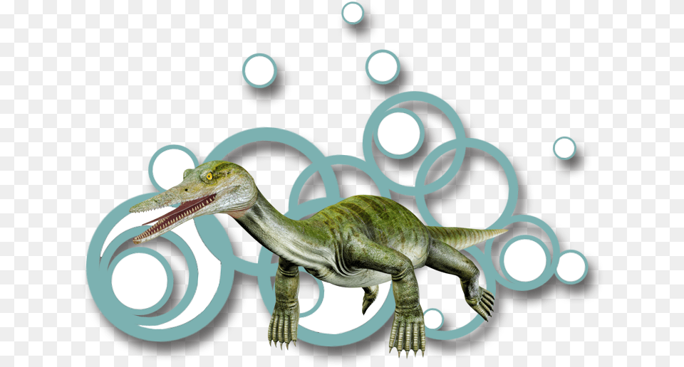 T Rex, Animal, Dinosaur, Reptile Free Png