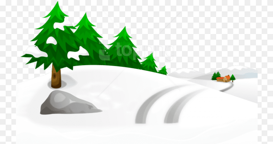 Snow On The Ground, Plant, Tree, Nature, Outdoors Png Image