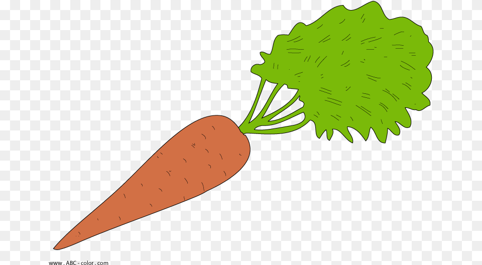 Carrot, Food, Plant, Produce, Vegetable Png Image