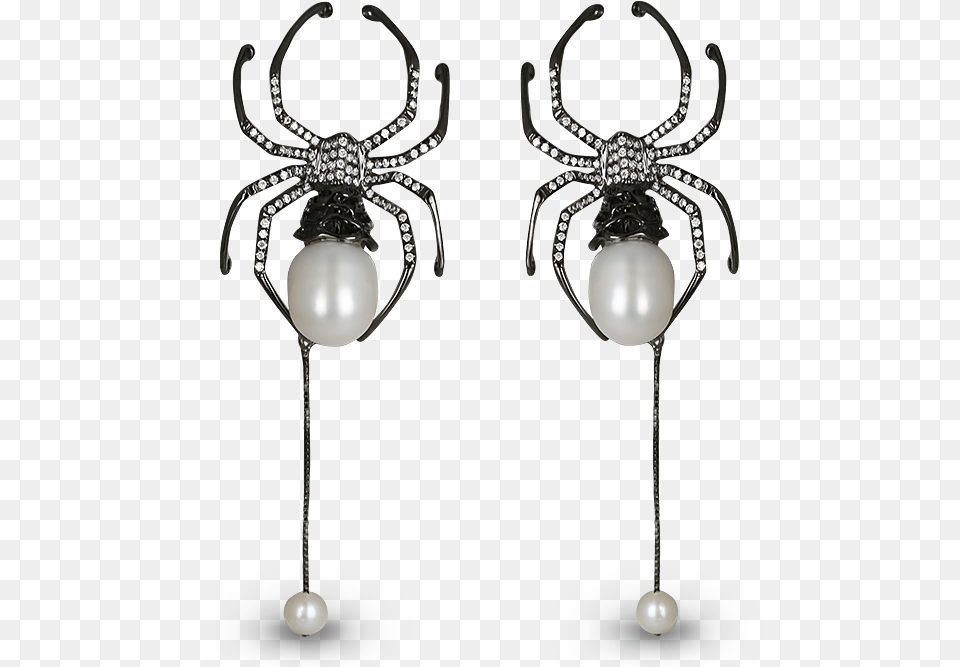 Earrings, Accessories, Earring, Jewelry, Animal Free Transparent Png