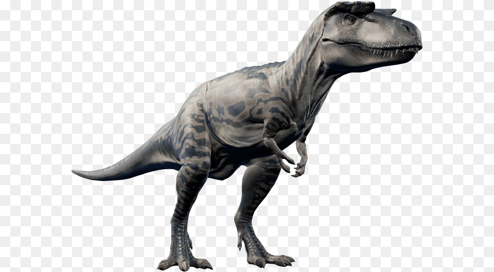 Dinosaur, Animal, Reptile, T-rex Free Transparent Png