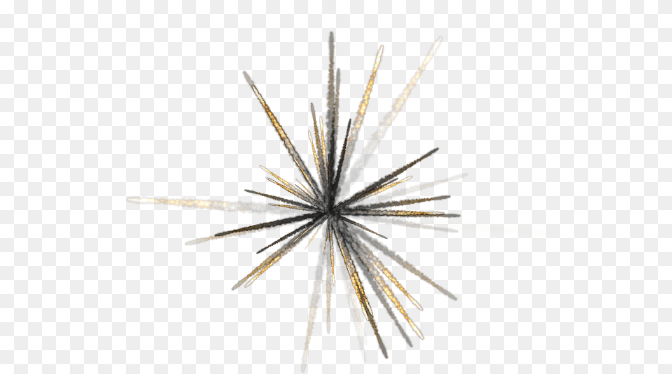Meteor Shower, Fireworks, Plant, Outdoors, Nature Png