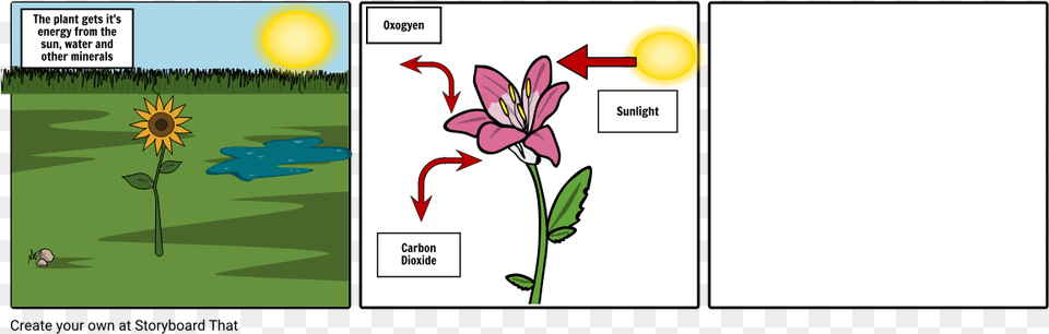Photosynthesis, Flower, Plant, Book, Comics Png
